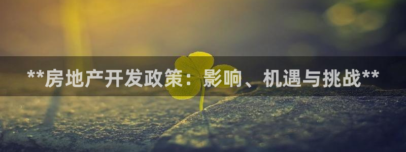 永利股份公司