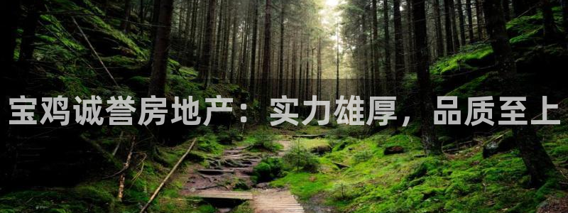 永利现场