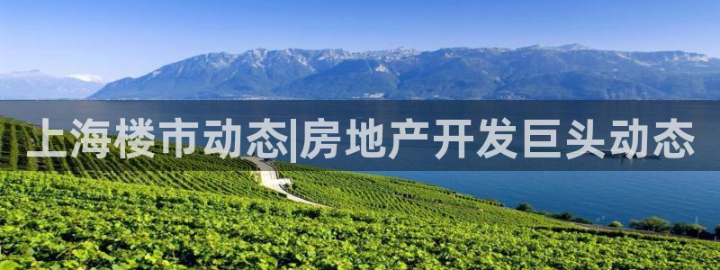永利制带股票