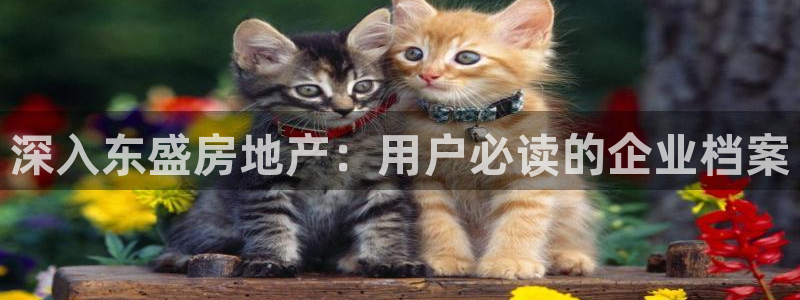 永利中国东北菜
