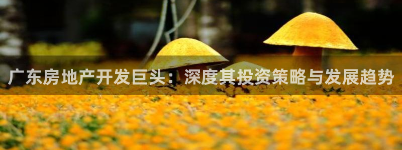 永利公司是干嘛的