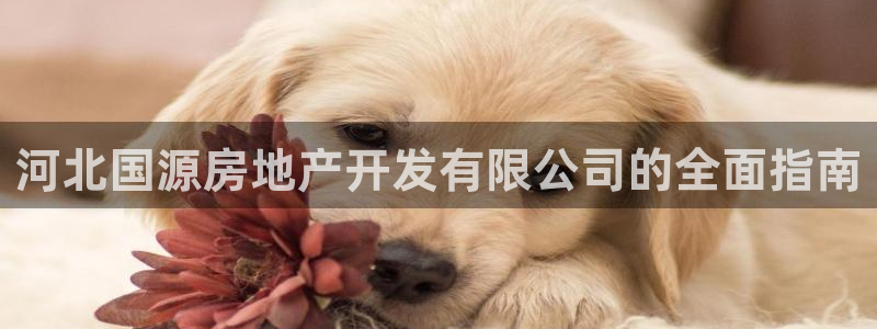 佛山王永利工业皮带有限公司