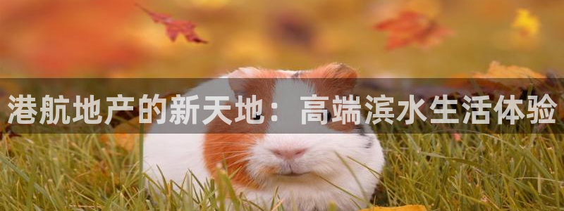 永利官网查询