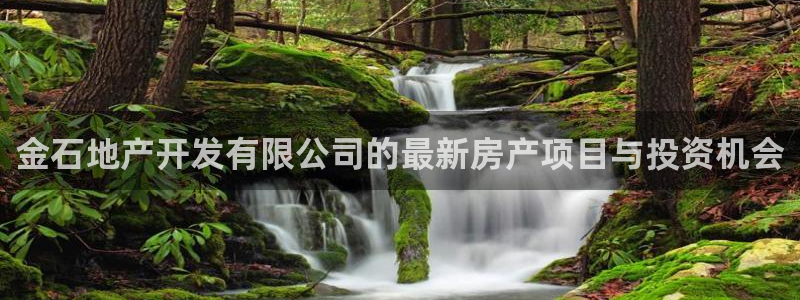 永利赚钱