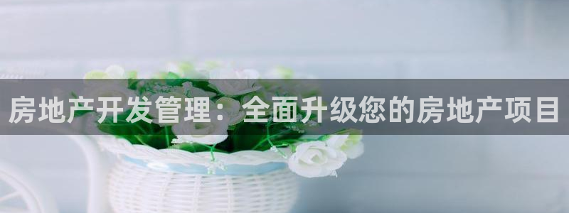佛山永利工业皮带厂怎么样