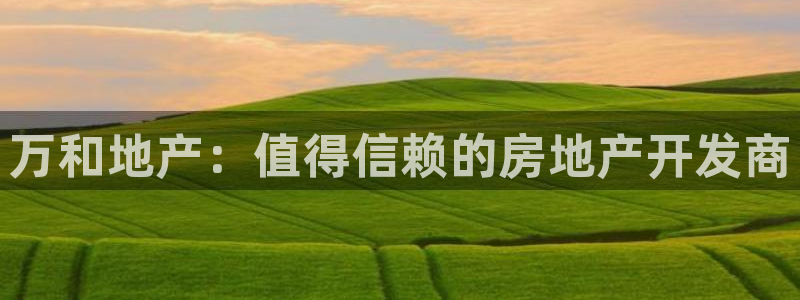 永利背五厘正常价格