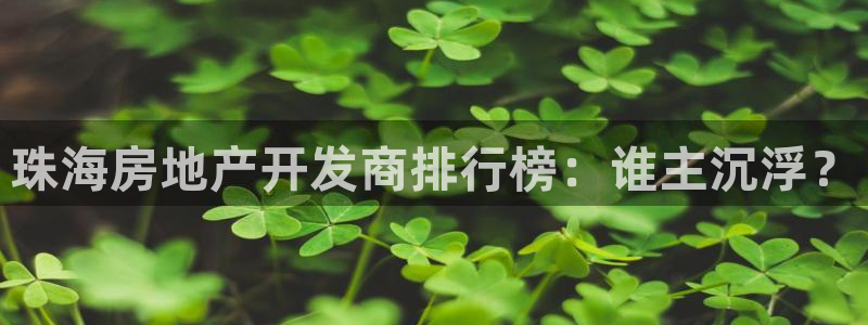 永利皮带官网价格查询