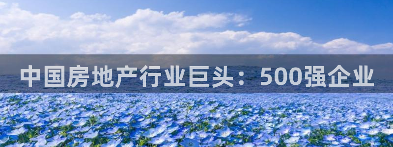永利房地产有限公司怎么样