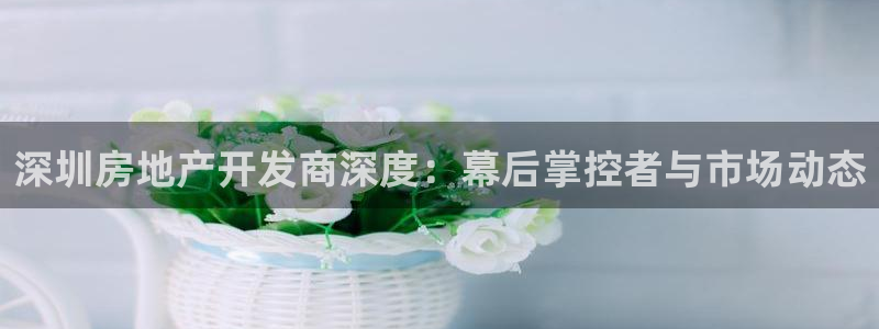 永利皮带报价查询