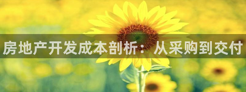 永利制带股票