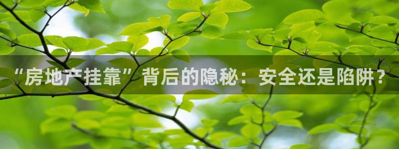 鄂州永利房地产怎么样