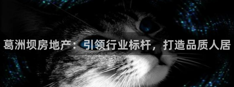 永利皮革有限公司地址