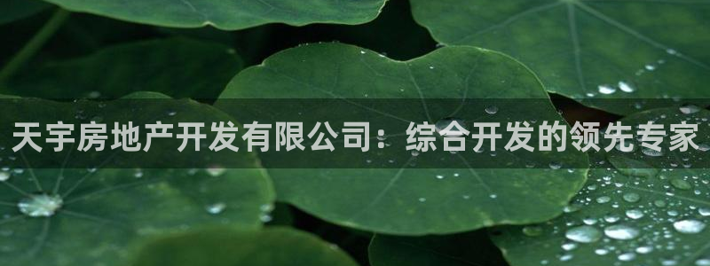 永利金控控股有限公司