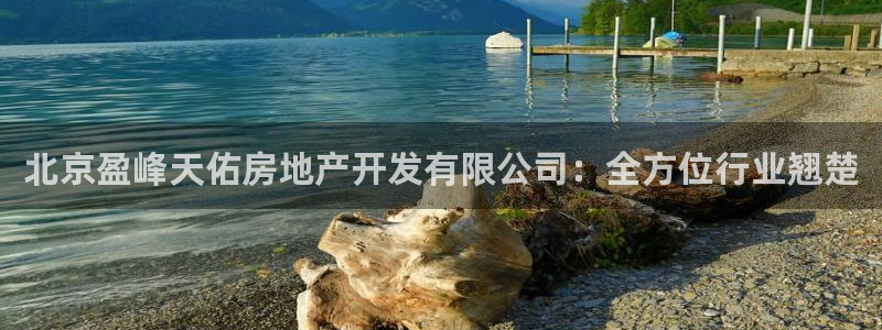 永利睹钱