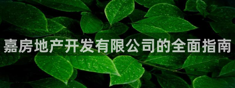 永利工艺品有限公司