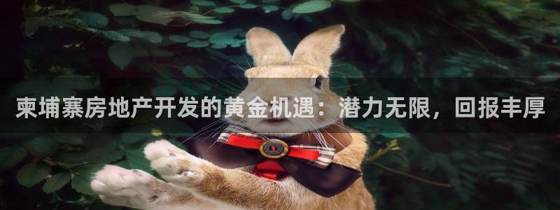 永利网络科技有限公司