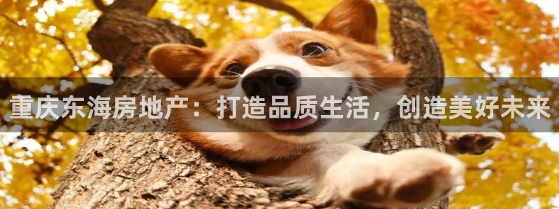 永利中国集团
