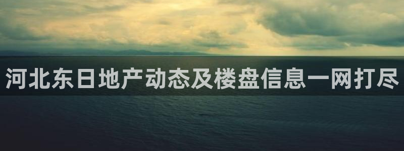 滨州永利篮球俱乐部老板