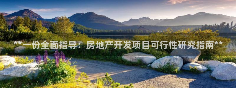 永利地产