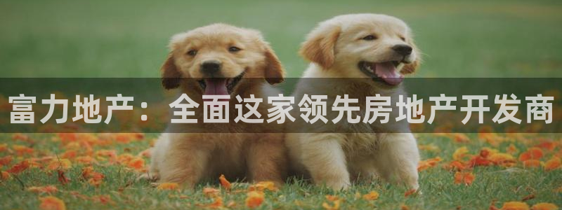 永利箱包厂