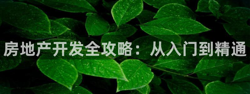永利皮带型号说明图解