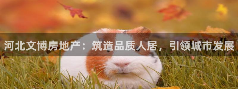 永利 官网