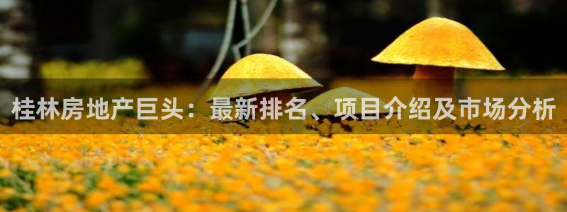 永利皮革有限公司地址