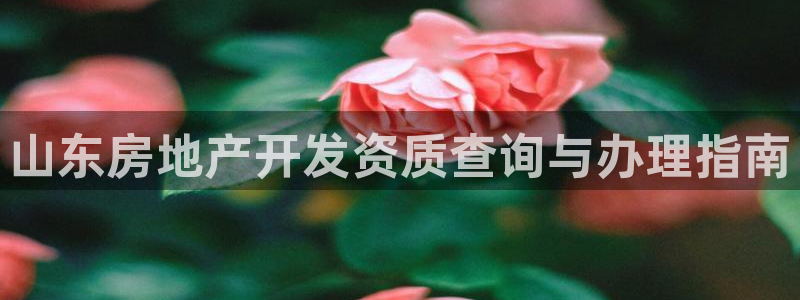 永利官网正网