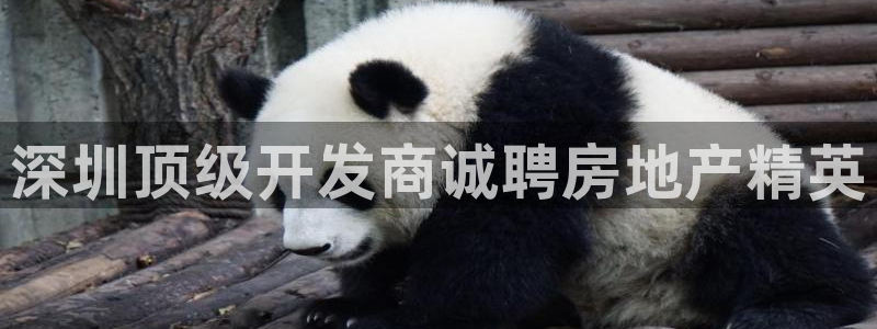 为什么永利网址打不开