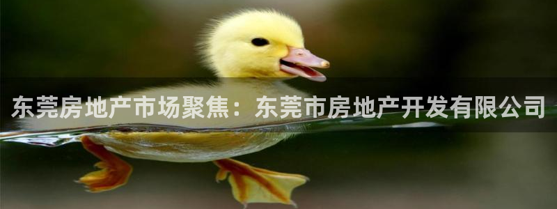 永利皮带型号说明图
