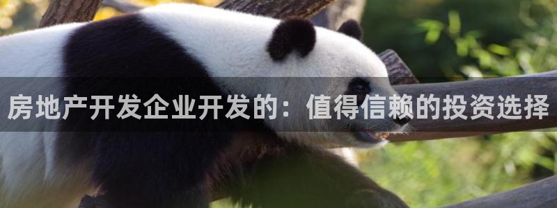 永利二维码推广
