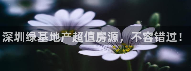 永利官方网招聘最新消息查询