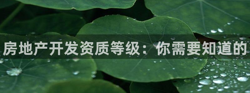永利赚钱
