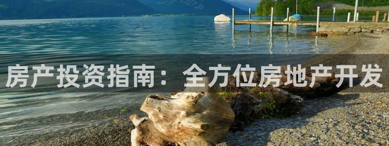 永利bet