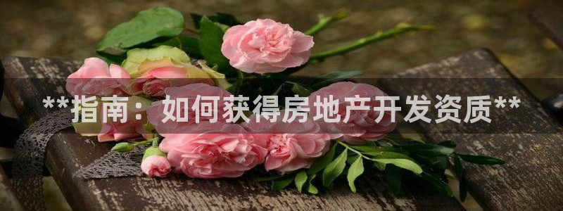 永利提款提不出来