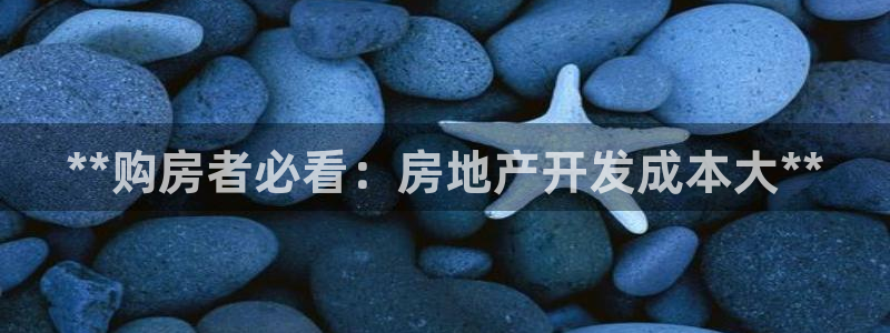永利皮带报价查询