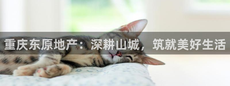 永利网是干什么的,能挣到钱吗知乎