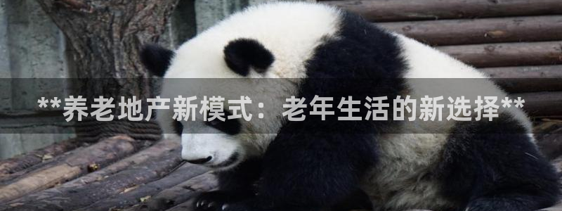 鄂尔多斯永利煤矿简介
