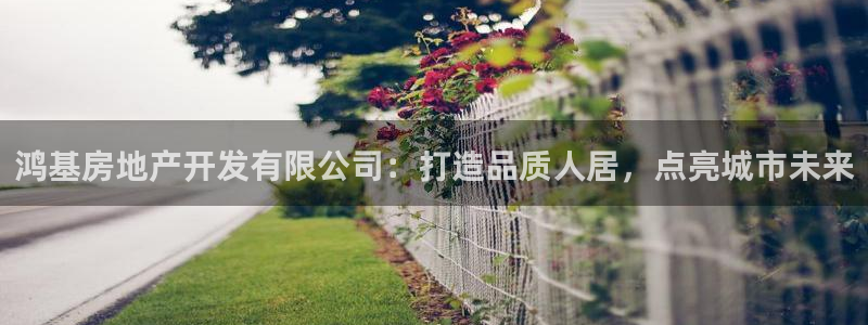 永利有限责任公司
