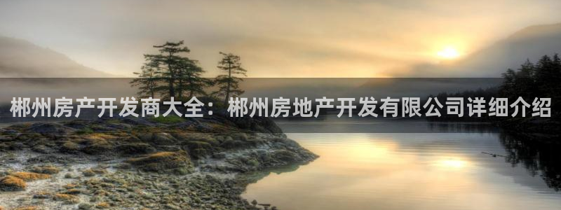 永利背一分