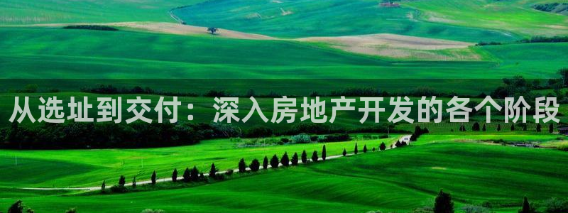 永利官网查询系统