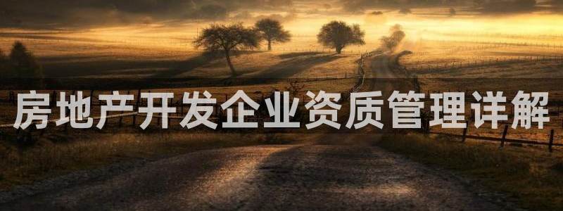 永利总裁