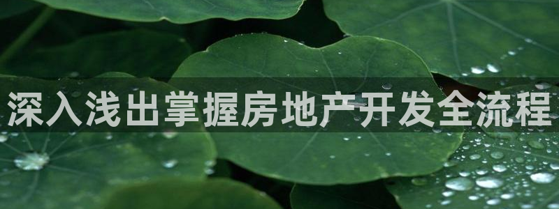 永利nev可靠吗