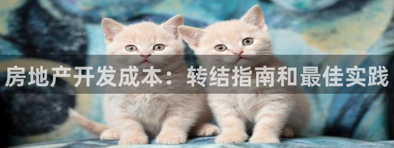 永利网是不是真的