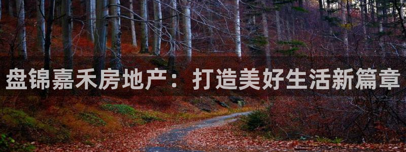 永利打不开