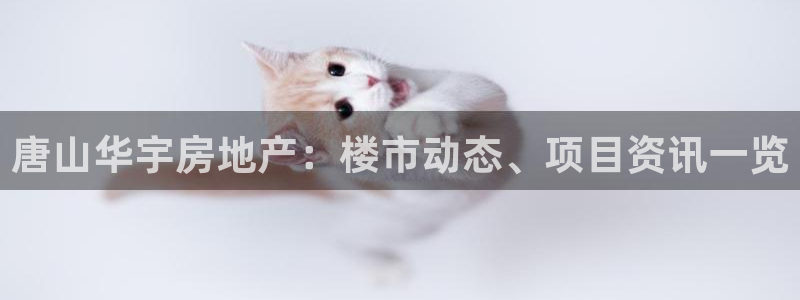 永利电影