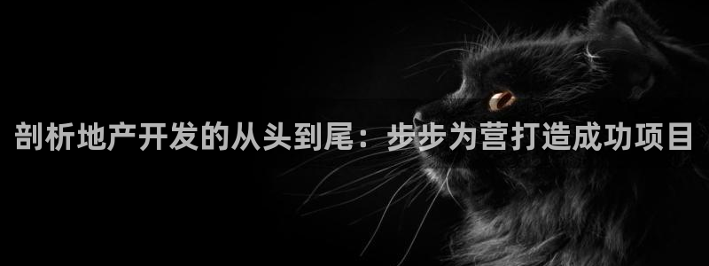 永利皮带官网旗舰店地址