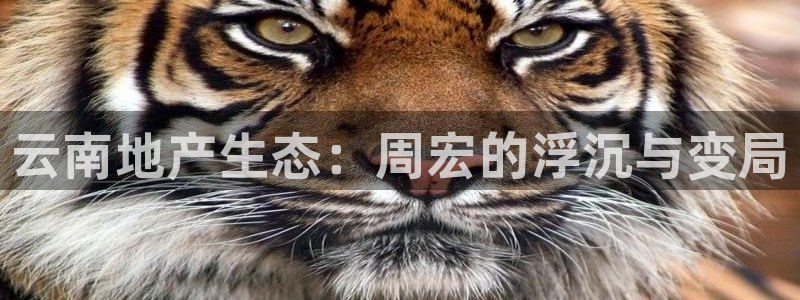 永利家具厂怎么样