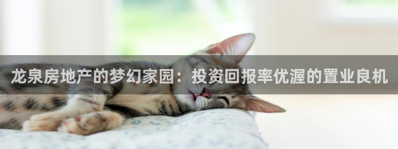 永利大酒店价格表