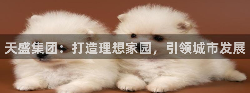 永利集团官网总站